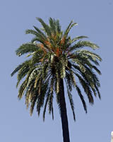 kursy hiszpanskiego lorca palma